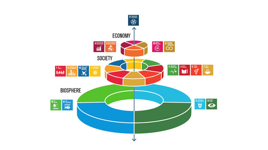 SDGs-taart