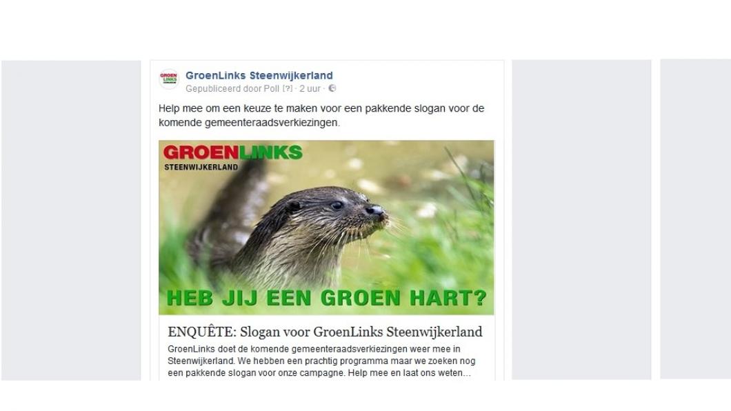 Kies de leuze voor GroenLinks Steenwijkerland