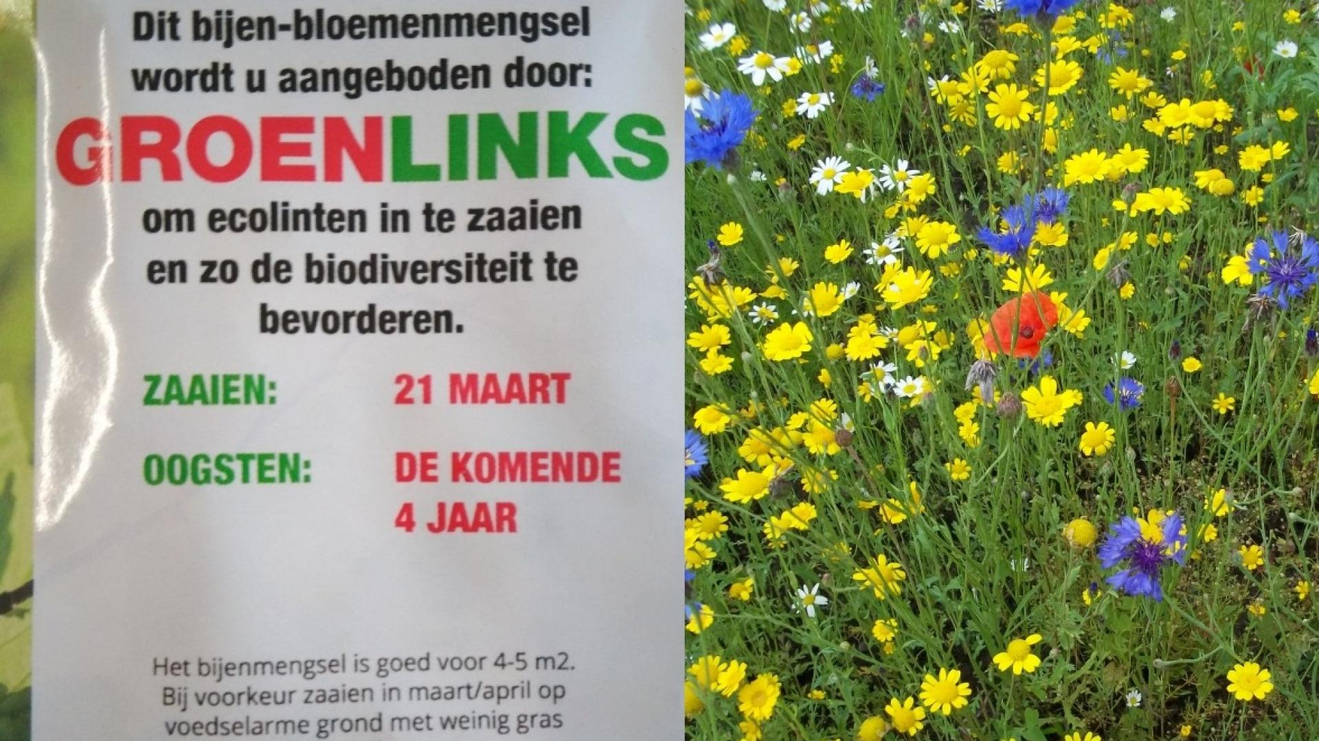 bloemenzaad2 web.jpg